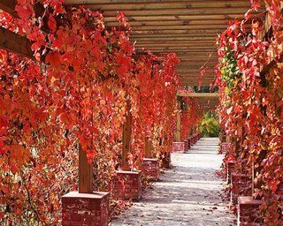 Xiaohetun Beijing Jinyu Badaling Hot Spring Resort מראה חיצוני תמונה